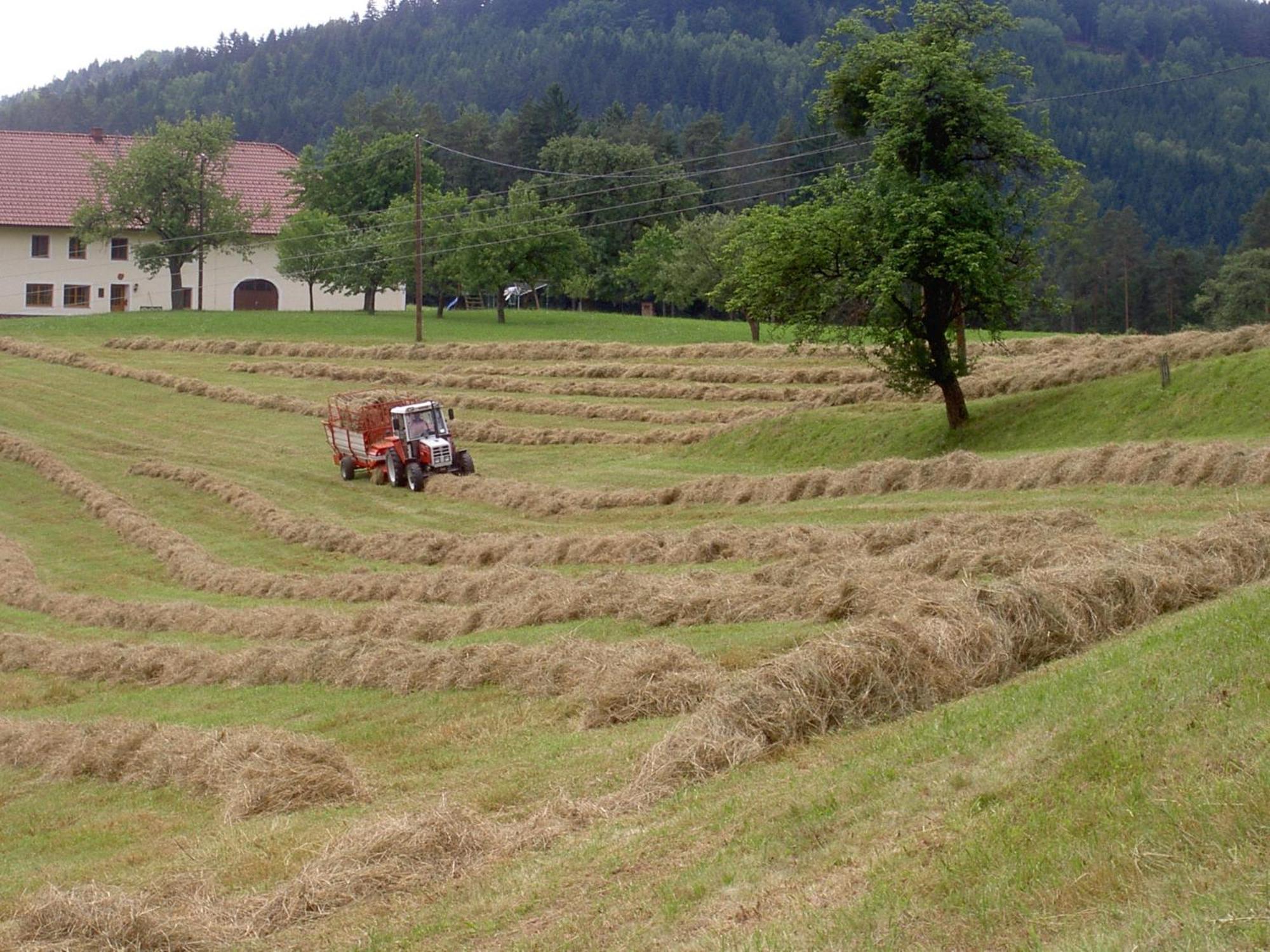 Вілла Urlaub Am Bauernhof Wenigeder - Familie Klopf Gutau Екстер'єр фото