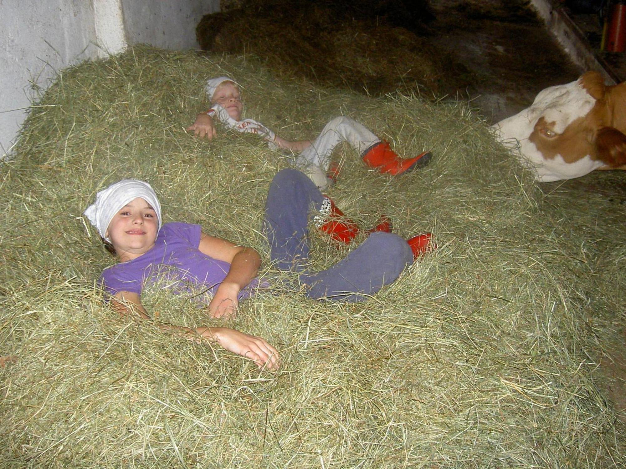 Вілла Urlaub Am Bauernhof Wenigeder - Familie Klopf Gutau Екстер'єр фото