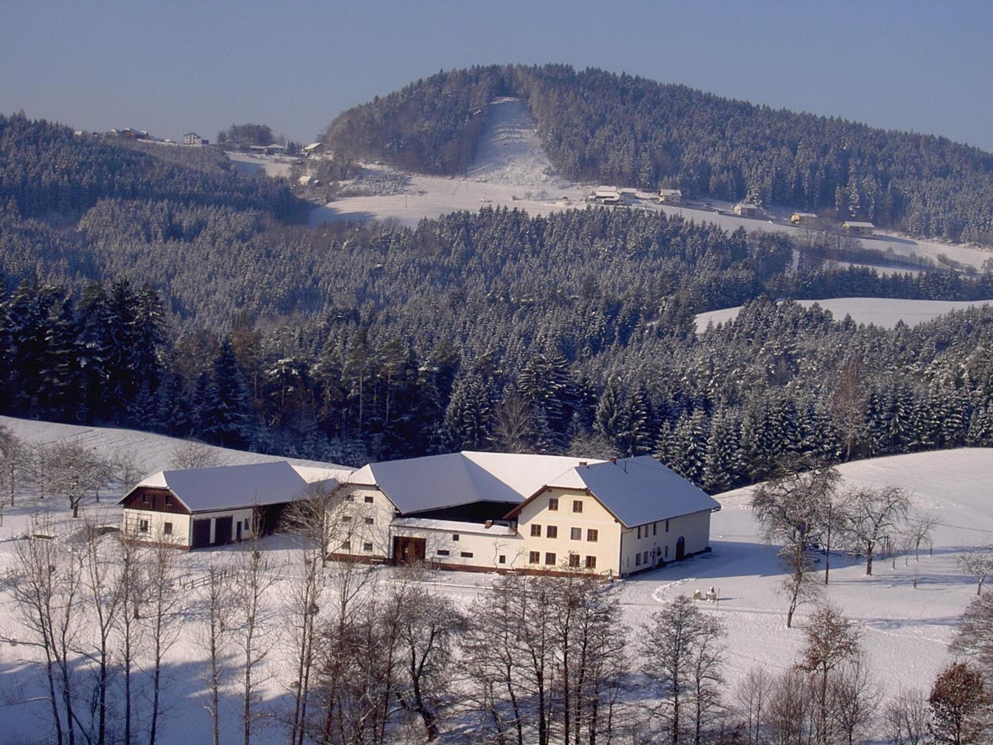 Вілла Urlaub Am Bauernhof Wenigeder - Familie Klopf Gutau Екстер'єр фото